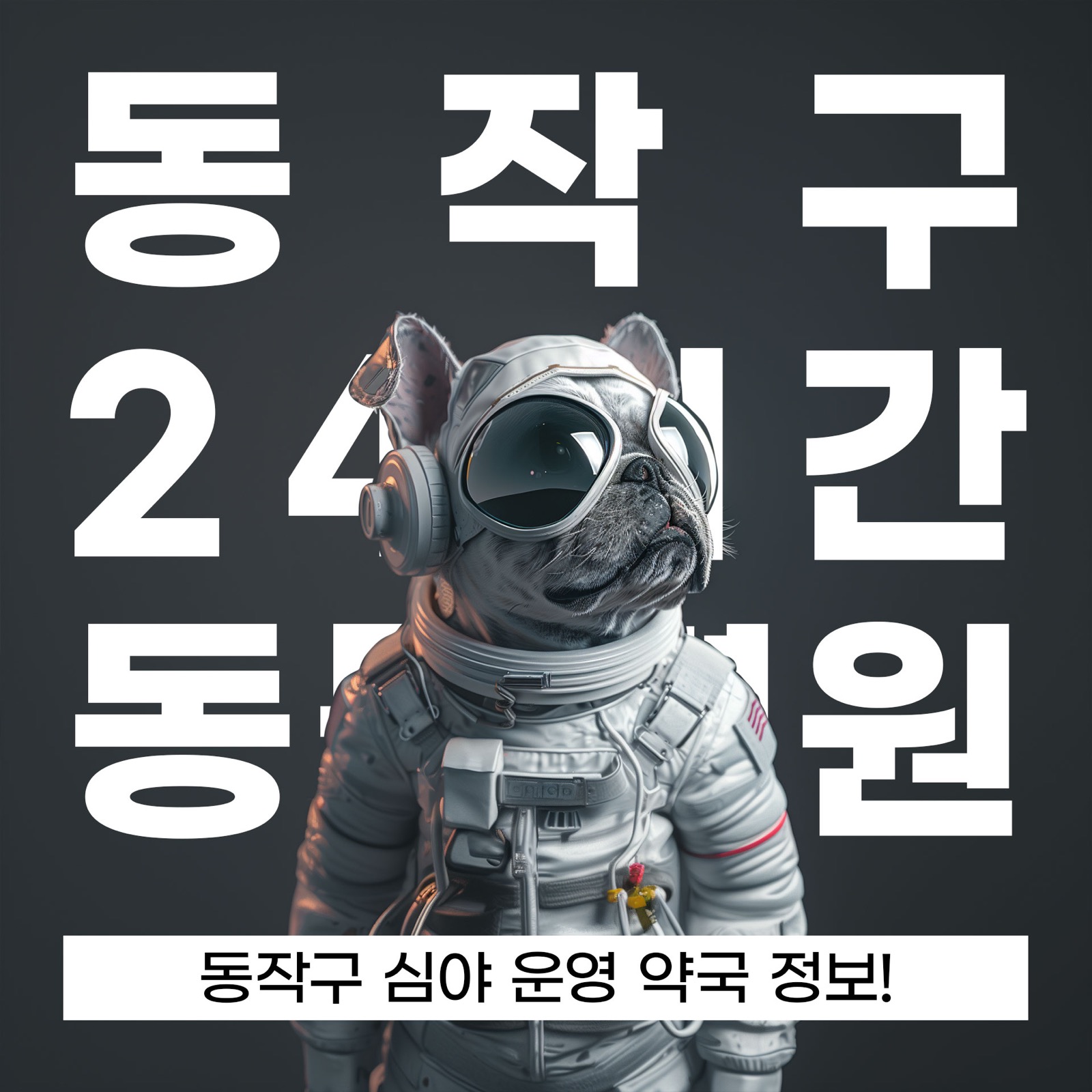 서울 동작구 24시 동물병원, 연중무휴 동물병원