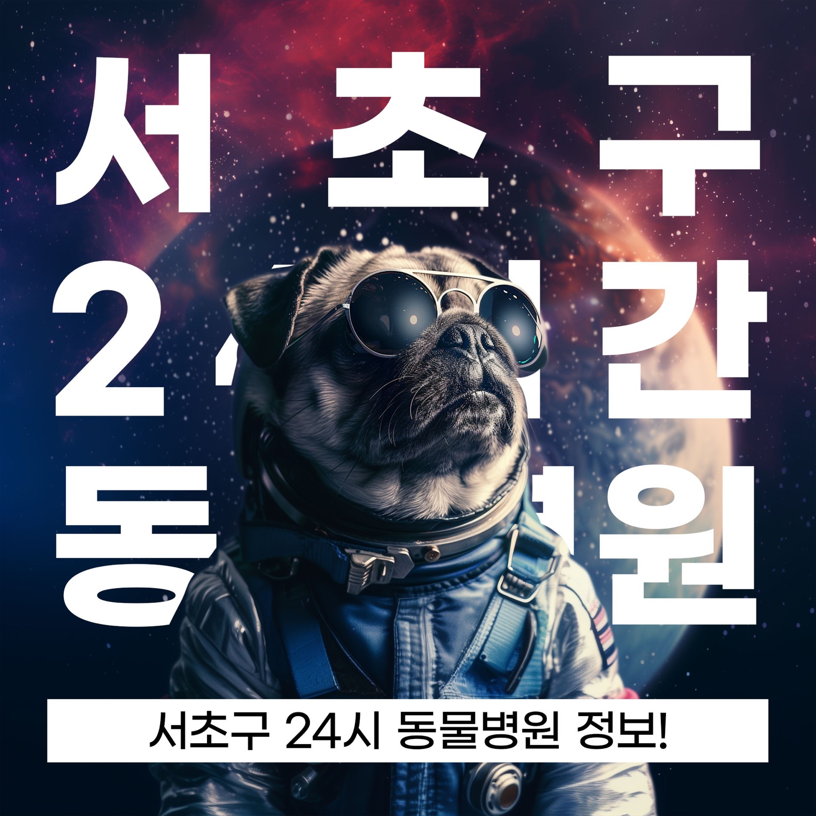 서울 서초구 24시 동물병원, 연중무휴 동물병원